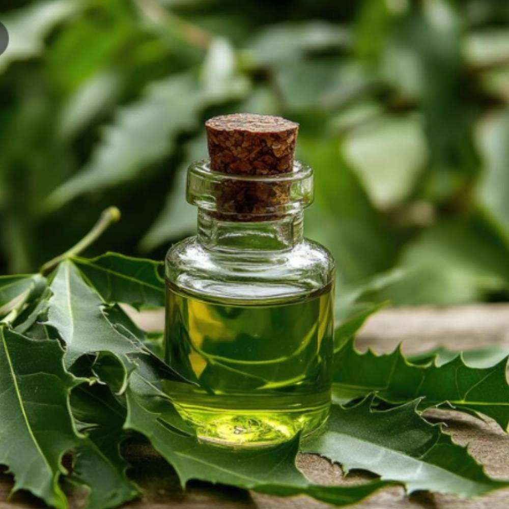 Neem Oil