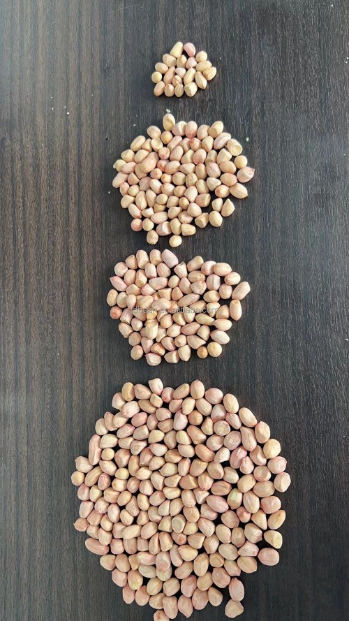 fresh, high-quality organic peanuts