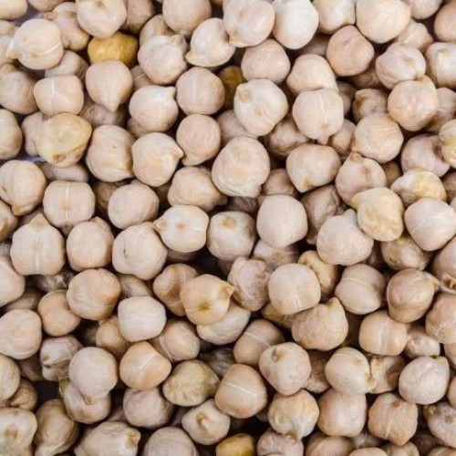 Kabuli and Desi Chickpeas