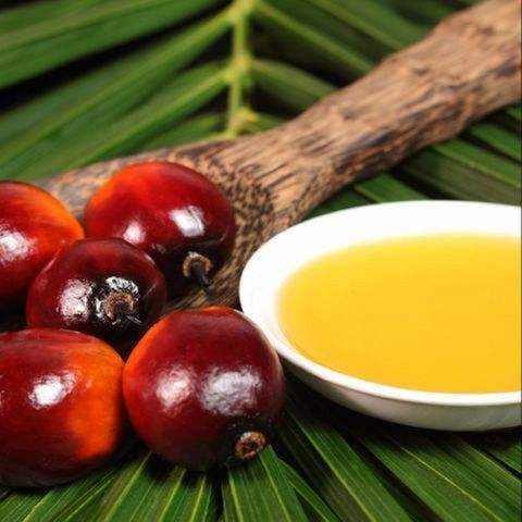 Refined  Palm Oil