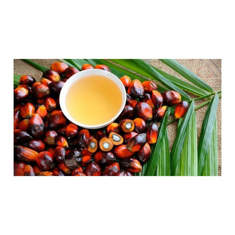 Palm Acid Oil