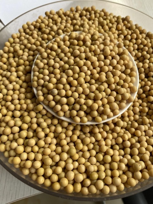 Soybeans seeds