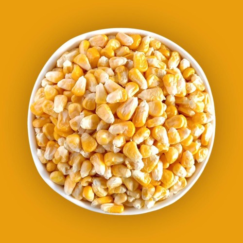 Yellow Maize