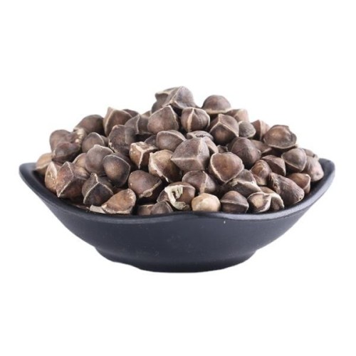 Moringa Seeds