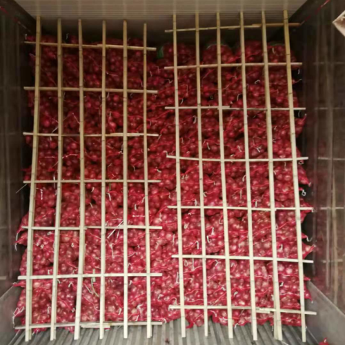 Fresh Red Onion available at best prices