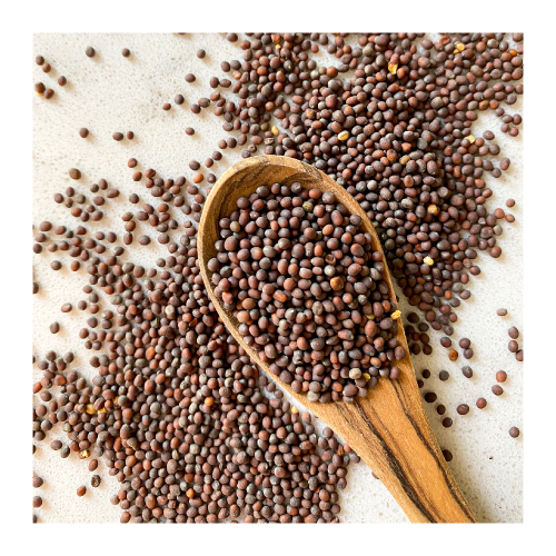 Mustard Seeds