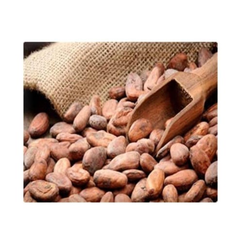 Cocoa Beans