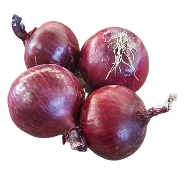Fresh Red Onion available at best prices