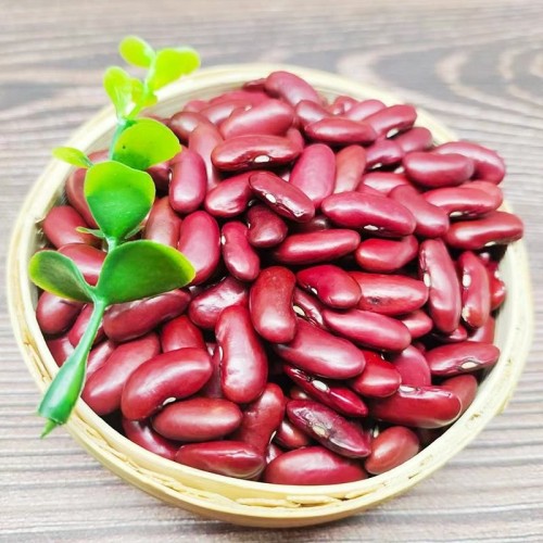 premium red bean