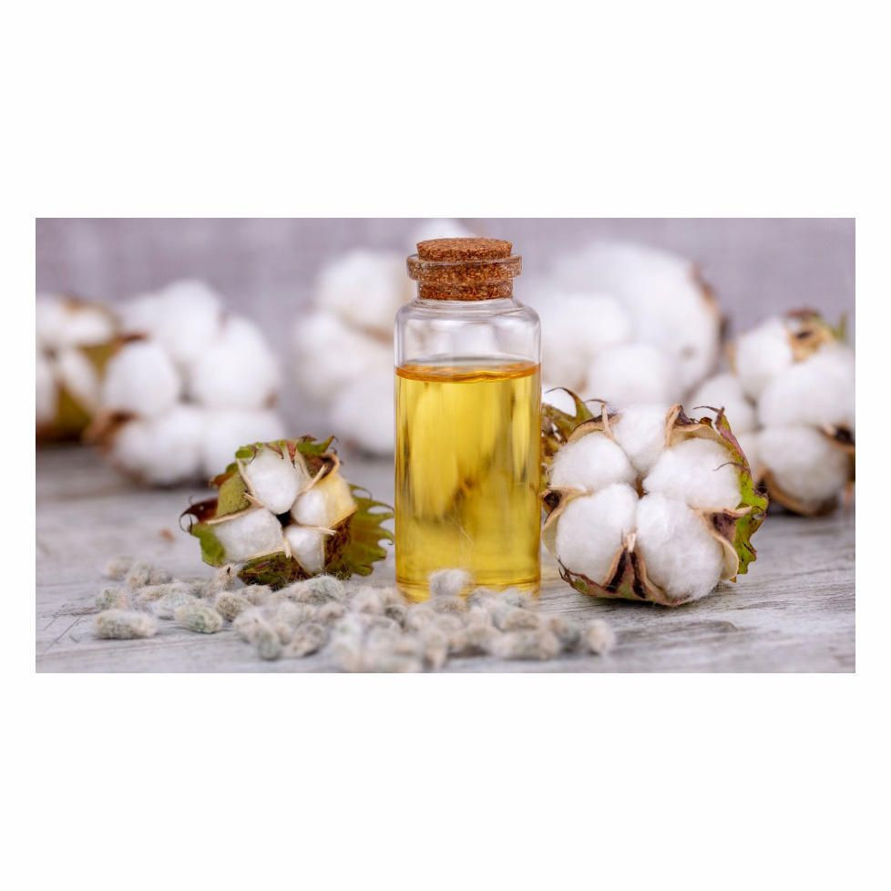 Cotton Seed Oil