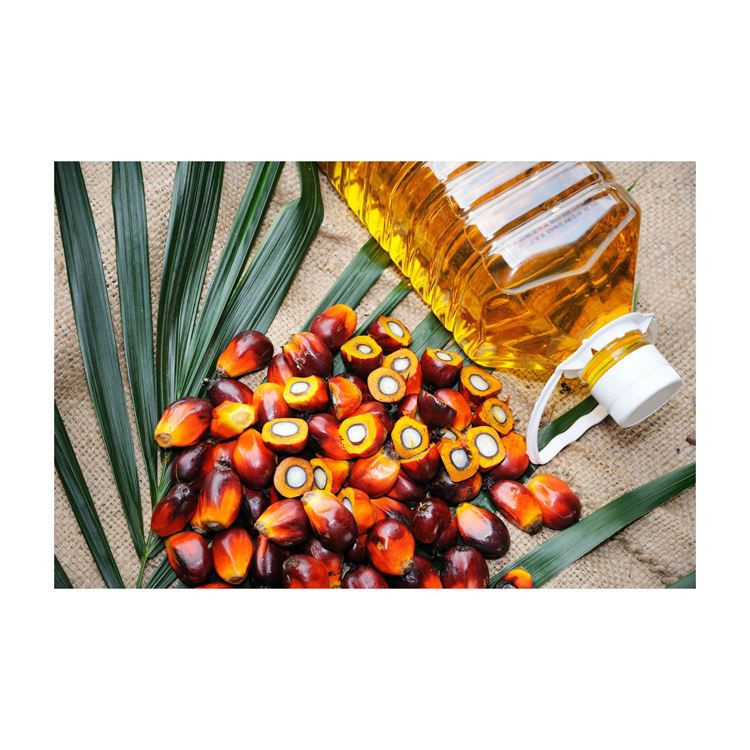 Palm Acid Oil