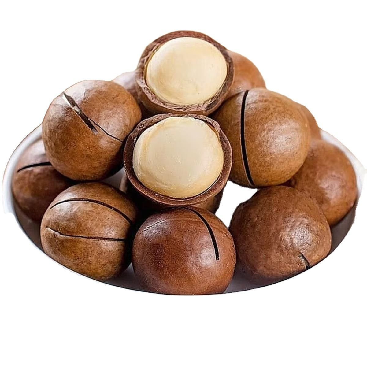 Macadamia Nuts – Delicate Crunchy & Refined Flavor
