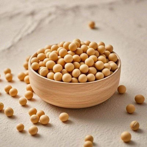 Soybeans seeds