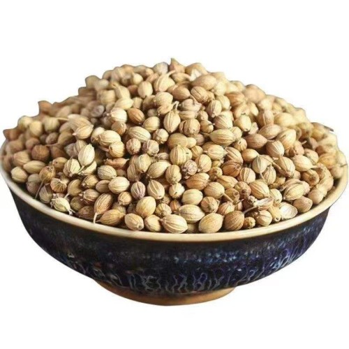 Coriander Seeds