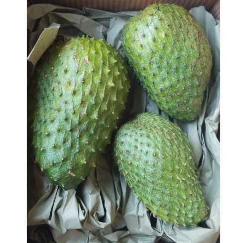 FRESH SOURSOP FRUITS