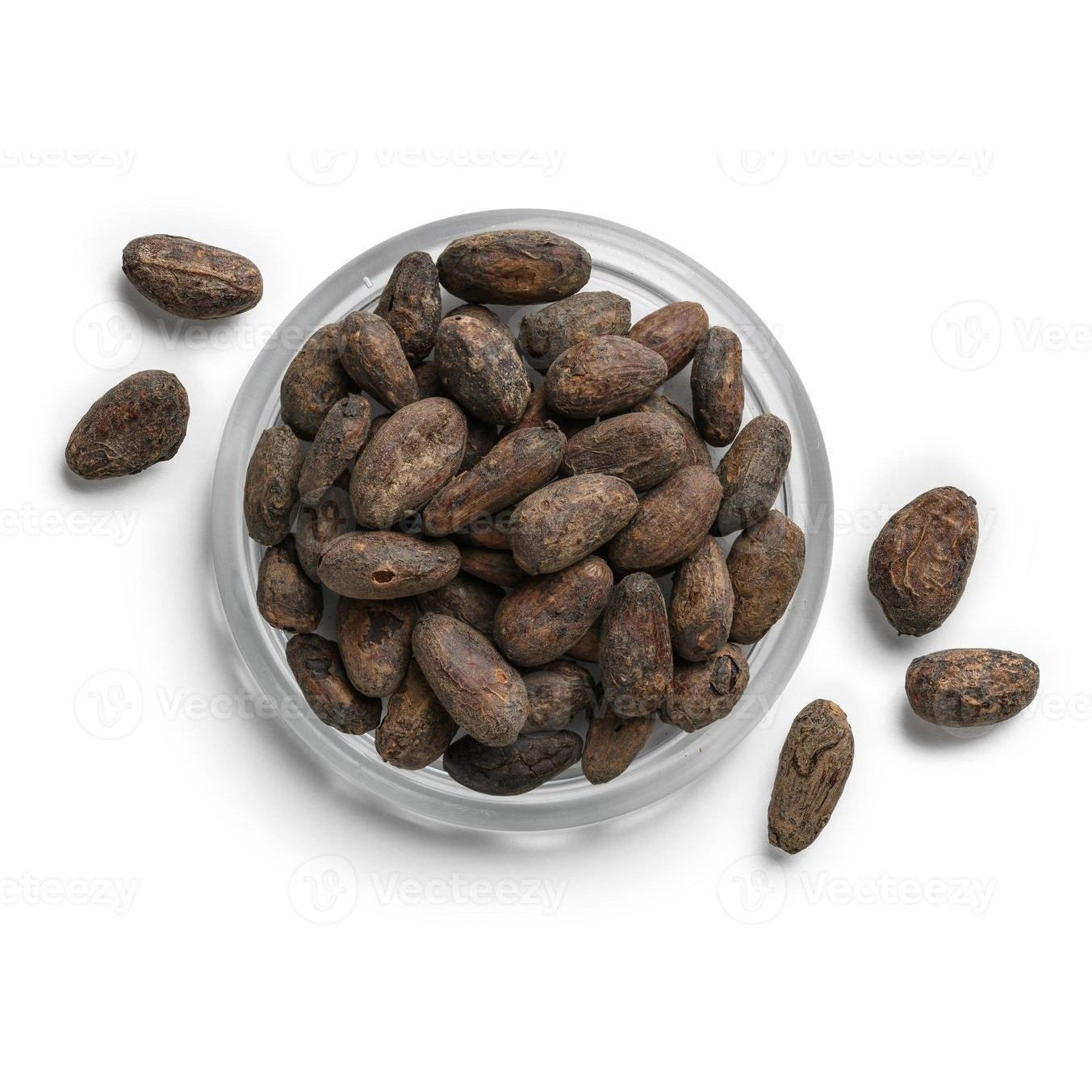 Cocoa Beans