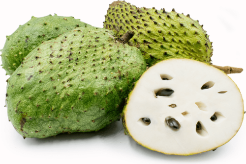 FRESH SOURSOP FRUITS