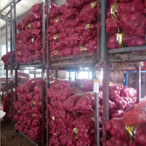 Fresh Red Onion available at best prices