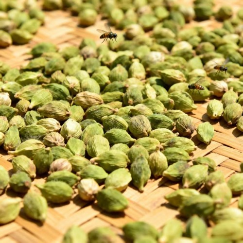 Green Cardamom