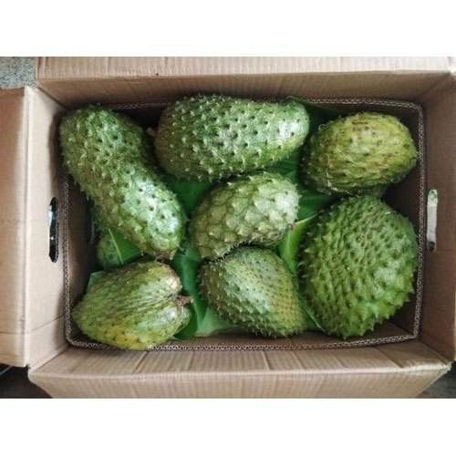 FRESH SOURSOP FRUITS