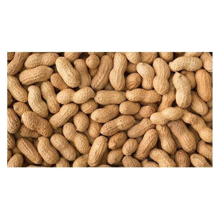 Peanuts /Groundnuts