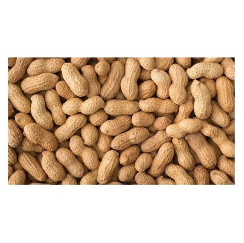 Peanuts /Groundnuts