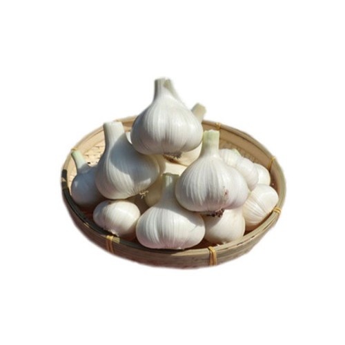 100% Organic Fresh garlic