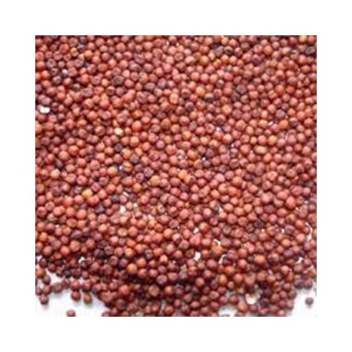 100% quality sorghum