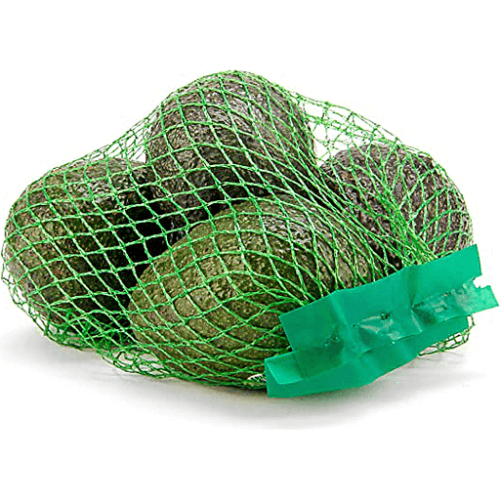 Premium grade fresh Avocado