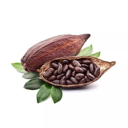 Natural Cocoa – Intense & Authentic Flavor