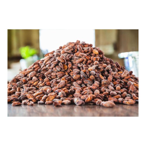Cocoa Beans