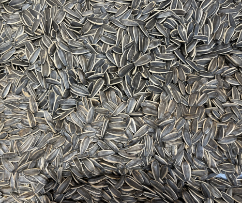 Sunflower seeds