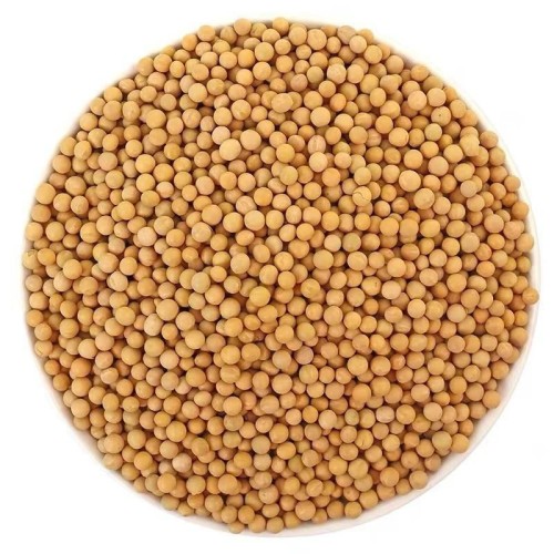 Soybeans seeds