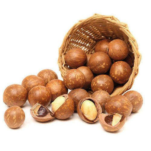 Macadamia Nuts – Delicate Crunchy & Refined Flavor
