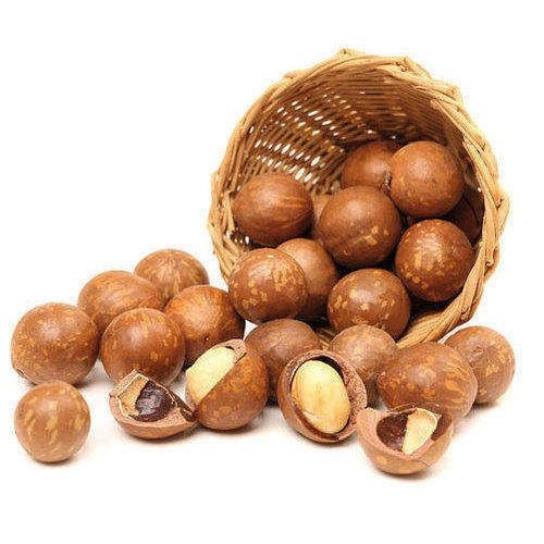 Macadamia Nuts – Delicate Crunchy & Refined Flavor