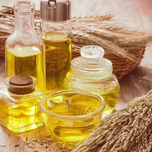 Rice Bran Oil