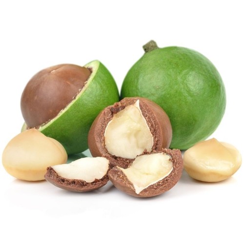 Macadamia Nuts – Delicate Crunchy & Refined Flavor