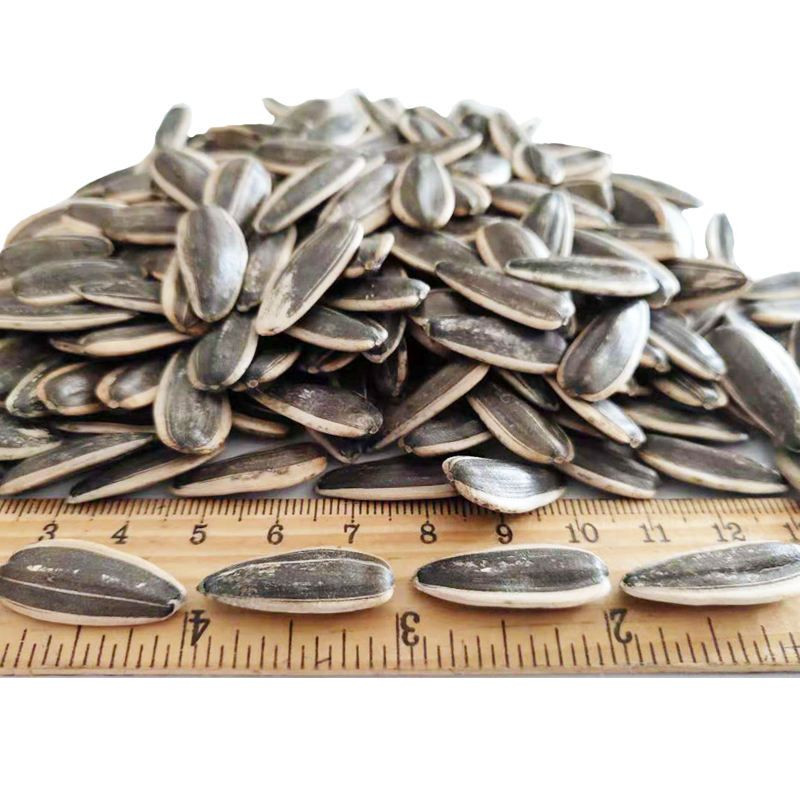 Sunflower seeds