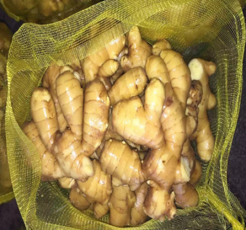 Pure, Farmed And Raw fresh ginger