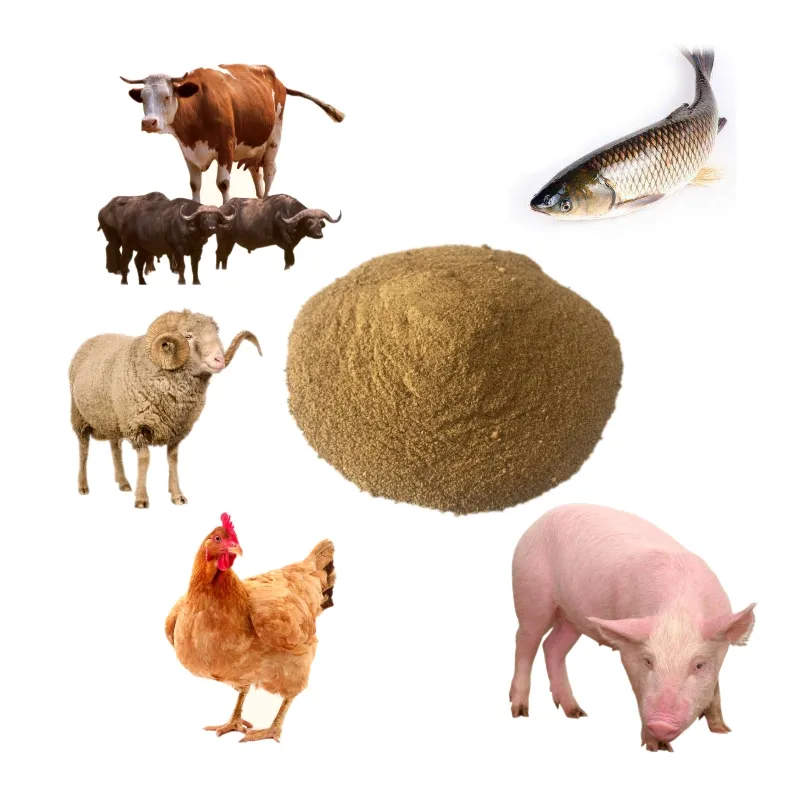 Meat Bone Meal