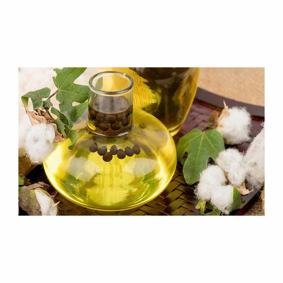 Cotton Seed Oil