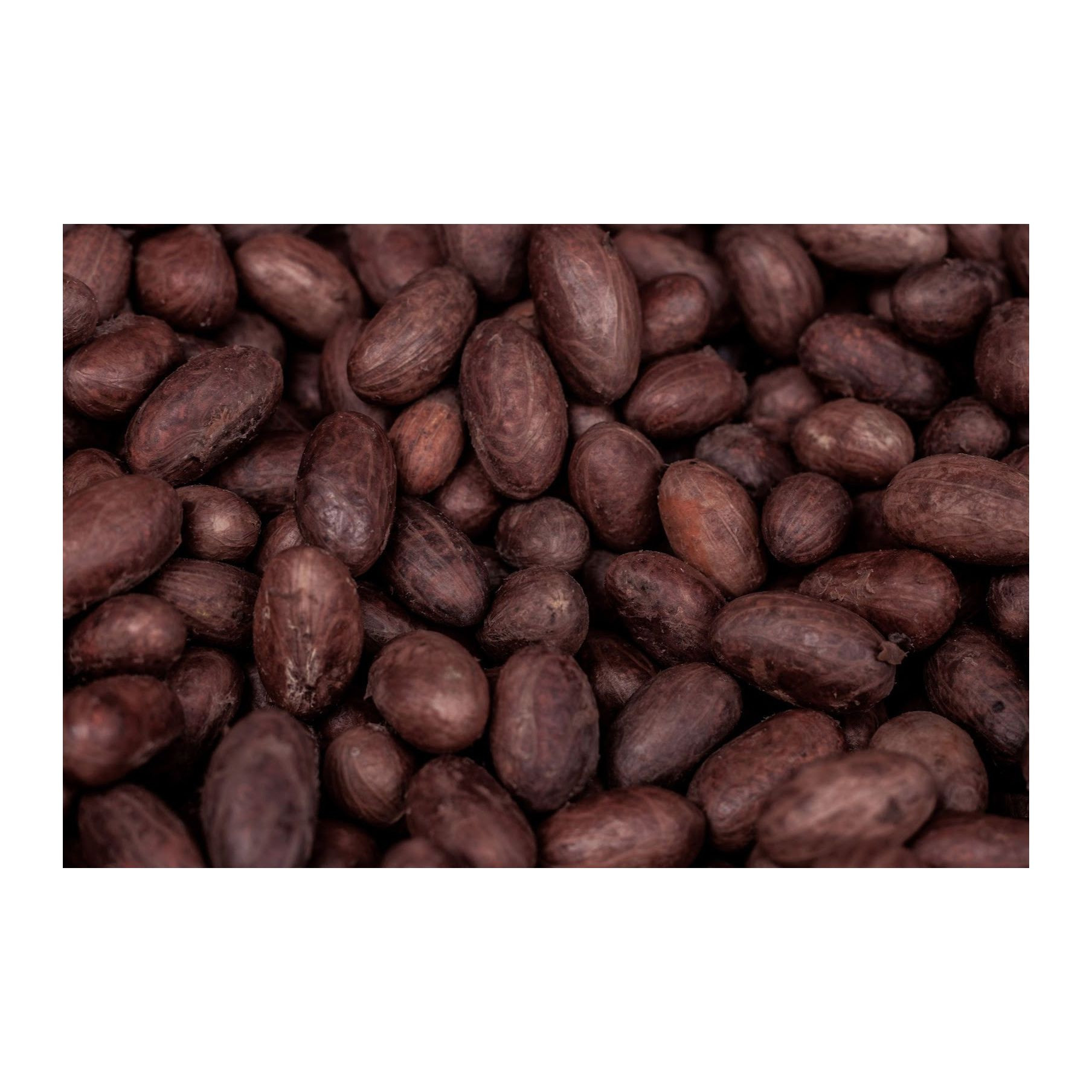 Cocoa Beans