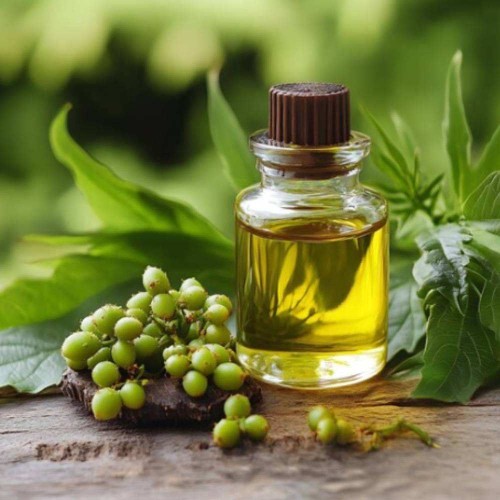 Neem Oil
