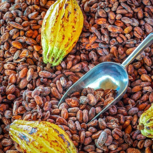 Natural Cocoa – Intense & Authentic Flavor