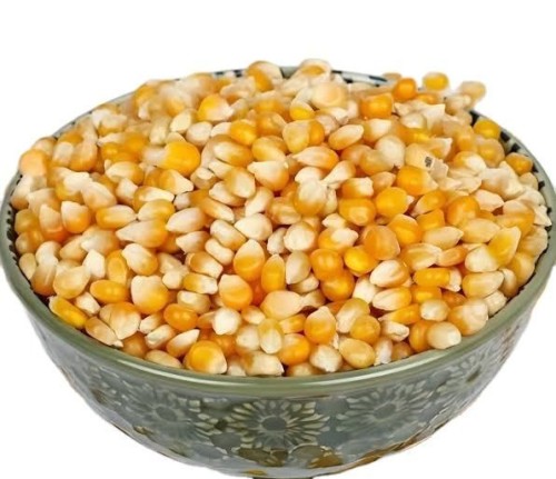 Yellow Maize