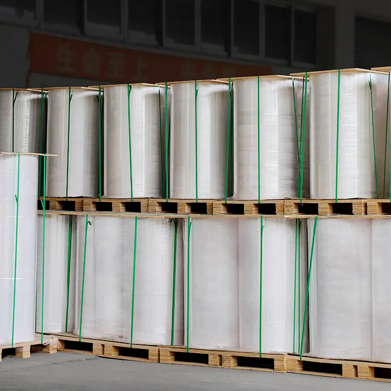 Paper Thermal Jumbo Roll