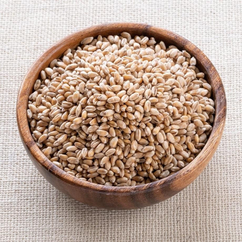 Wheat Seeds