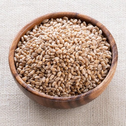 Wheat Seeds