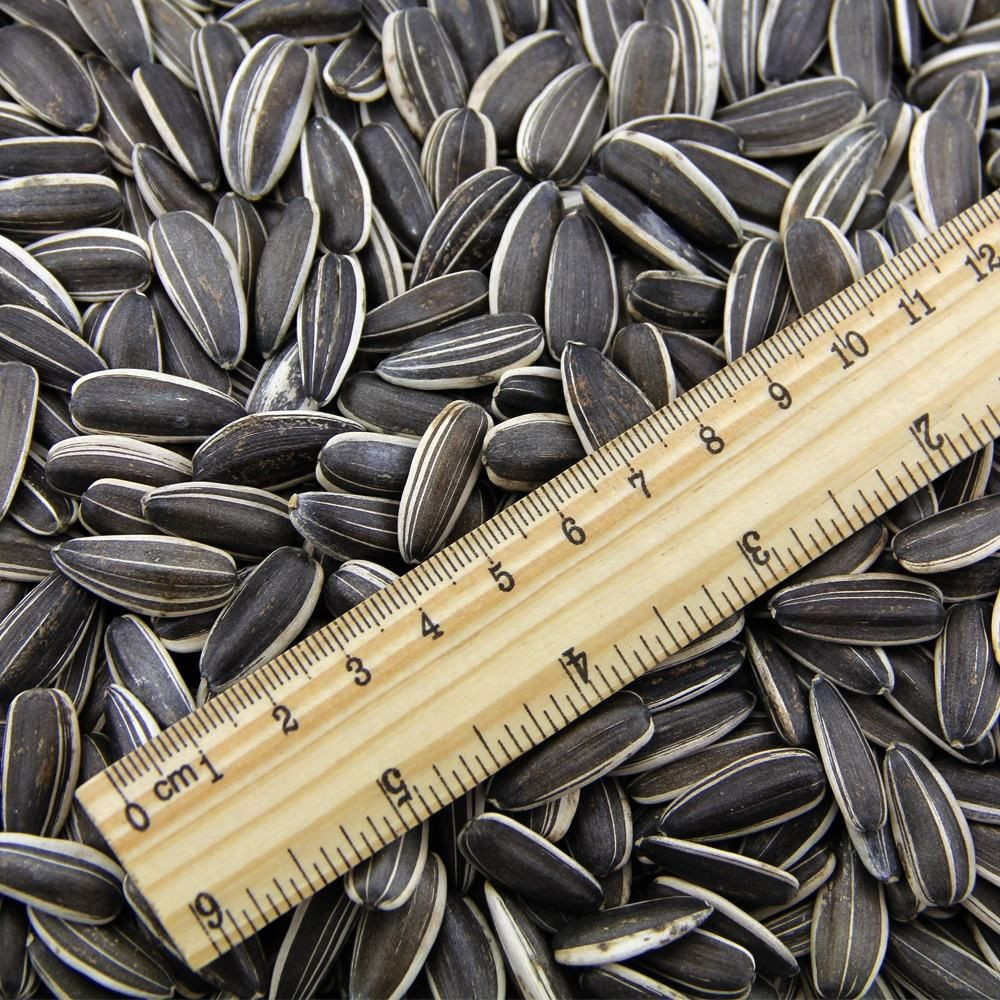 Sunflower seeds