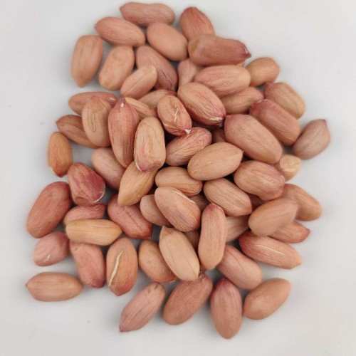 Peanuts /Groundnuts